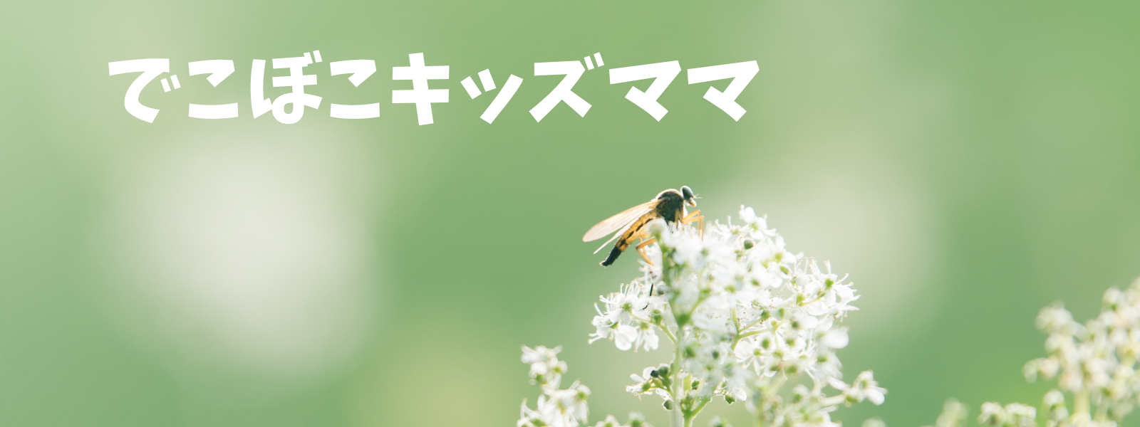 でこぼこキッズママ